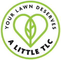 Your Lawn Deserves a Little TLC